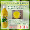 シークヮーサー四季柑果汁500ml
