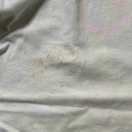 90's Vintage BEACH GOERS (ビーチゴアーズ) ウインドサーフィン グラフィック Tシャツ size L   白T ヴィンテージ Tシャツ used