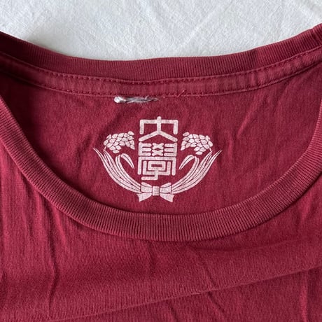 (B) WASEDA 早稲田大学 Ｔシャツ (Mサイズ) 90s00s アーカイブ カレッジロゴ フクちゃんプリント エンジ 角帽イラスト 両面ロゴプリント ヴィンテージT 古着 中古 良品