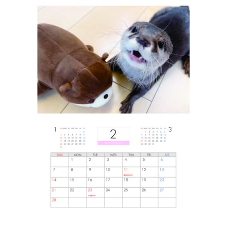 【予約販売】 カワウソ さくら 2027年 壁掛け カレンダー KK27296