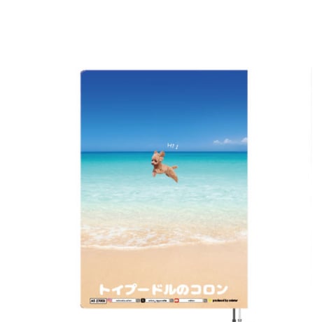 【予約販売】 トイプードル犬のコロン 2027年 A5スケジュール帳 A527058