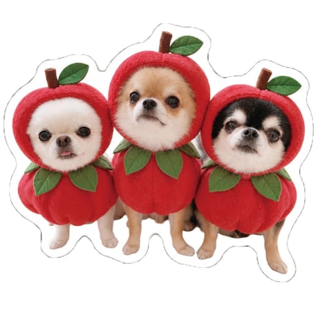 【予約販売】 うに&えび&とろ チワワ 犬 ステッカー 3枚セット SU038NN