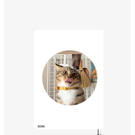 【予約販売】 初めてのコーギー 犬 2027年 A5スケジュール帳 A527163
