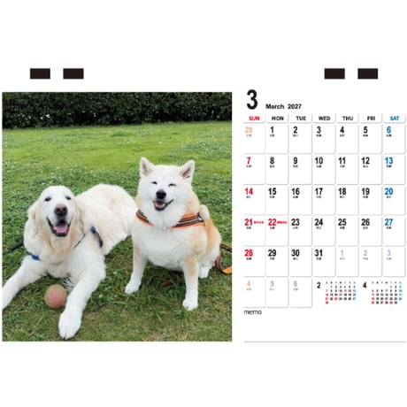 【予約販売】 柴犬よもぎ 2027年 卓上 カレンダー TC27192