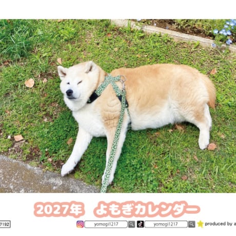 【予約販売】 柴犬よもぎ 2027年 卓上 カレンダー TC27192