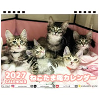 【予約販売】 ねこたま庵 猫 2027年 卓上 カレンダー TA27201