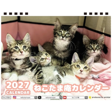 【予約販売】 ねこたま庵 猫 2027年 卓上 カレンダー TA27201