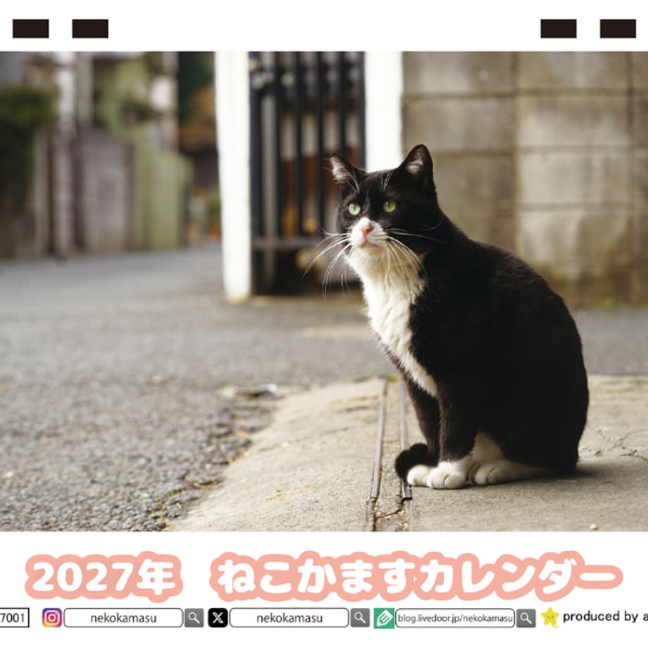 6ab675fd7a94102f380e905a