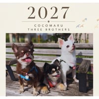 【予約販売】 ここまる三兄弟 2027年 壁掛け カレンダー KK32184