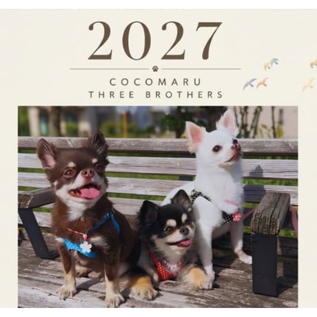 【予約販売】 ここまる三兄弟 2027年 壁掛け カレンダー KK32184