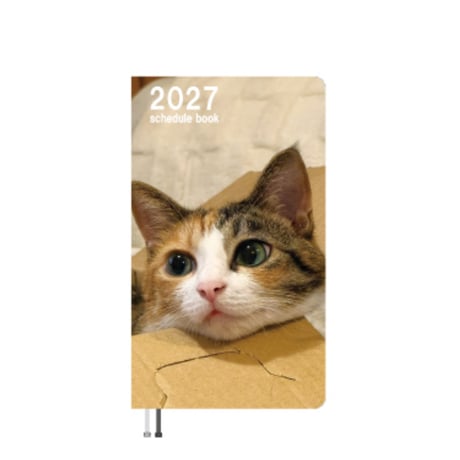 【予約販売】 レオとイロハ 猫 2027年 ポケットスケジュール帳 PO27141
