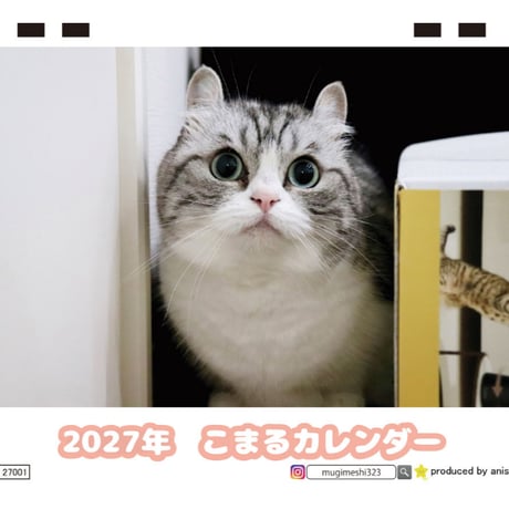 【予約販売】 猫のこまる 2027年 卓上 カレンダー TC27190