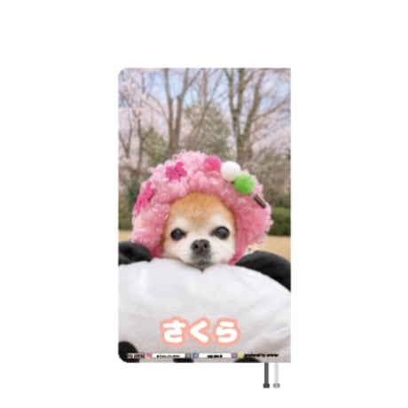 【予約販売】 さくら チワワ 犬 2027年 ポケットスケジュール帳 PO27078