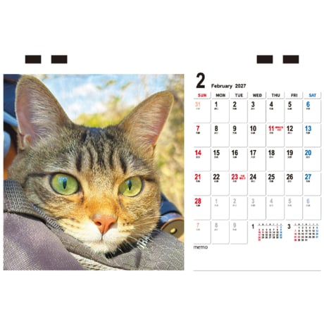 【予約販売】 TENTEN 猫 2027年 卓上 カレンダー TC27194