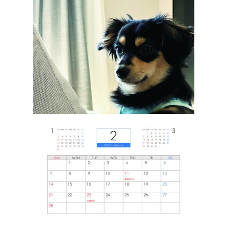 【予約販売】 うみくん アザラシ犬 チワックス 2027年 壁掛け カレンダー KK27221