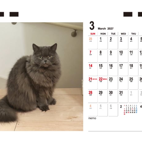 【予約販売】 猫ヌコチャンネル 2027年 卓上 カレンダー TC27170