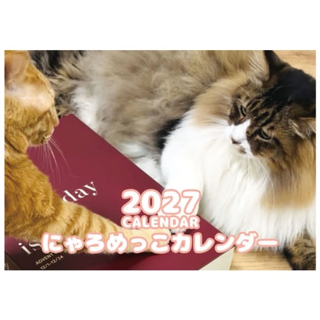 【予約販売】 猫のにゃろめっこ 2027年 壁掛け カレンダー KK27100