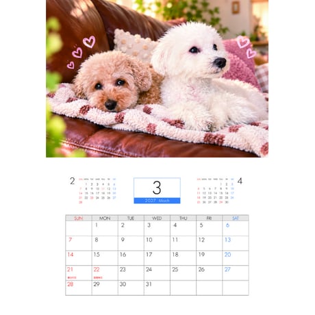 【予約販売】 いちご&ミルク＆ぷりん 犬 2027年 壁掛け カレンダー KK27315