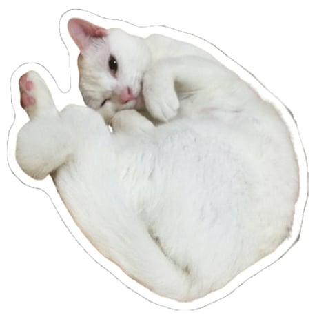 【予約販売】 ねこかます 猫 ステッカーNo31 3枚セット SU031NN