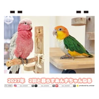 【予約販売】 2羽と暮らすあんずちゃんねる インコ 2027年 卓上 カレンダー TC27295