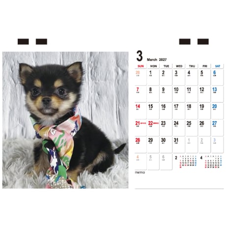 【予約販売】 SHIBA CHIWA TORO 犬 2027年 卓上 カレンダー TC27293