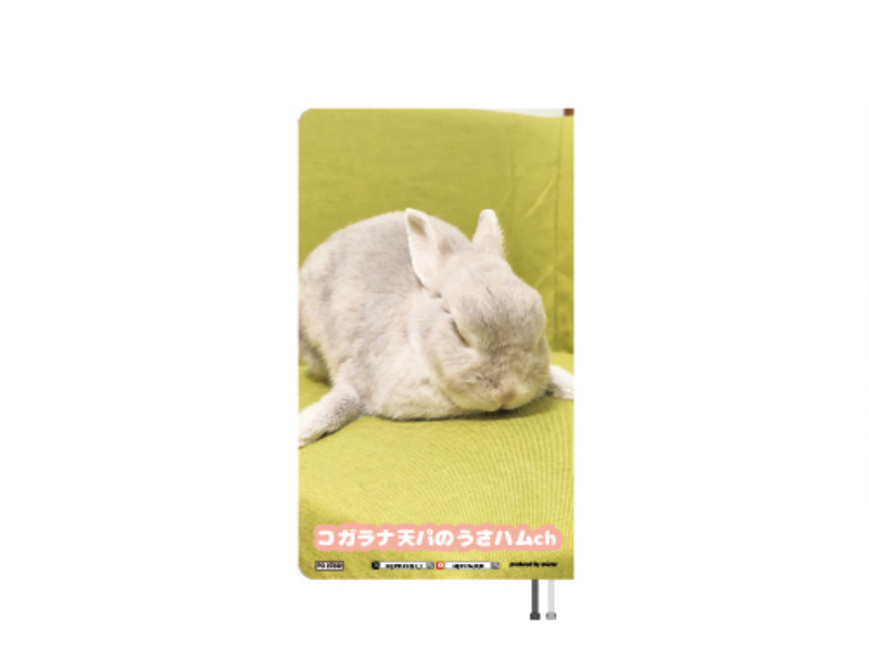 予約販売】 コガラナ天パのうさハムch うさぎのぽぽちゃん 2027年