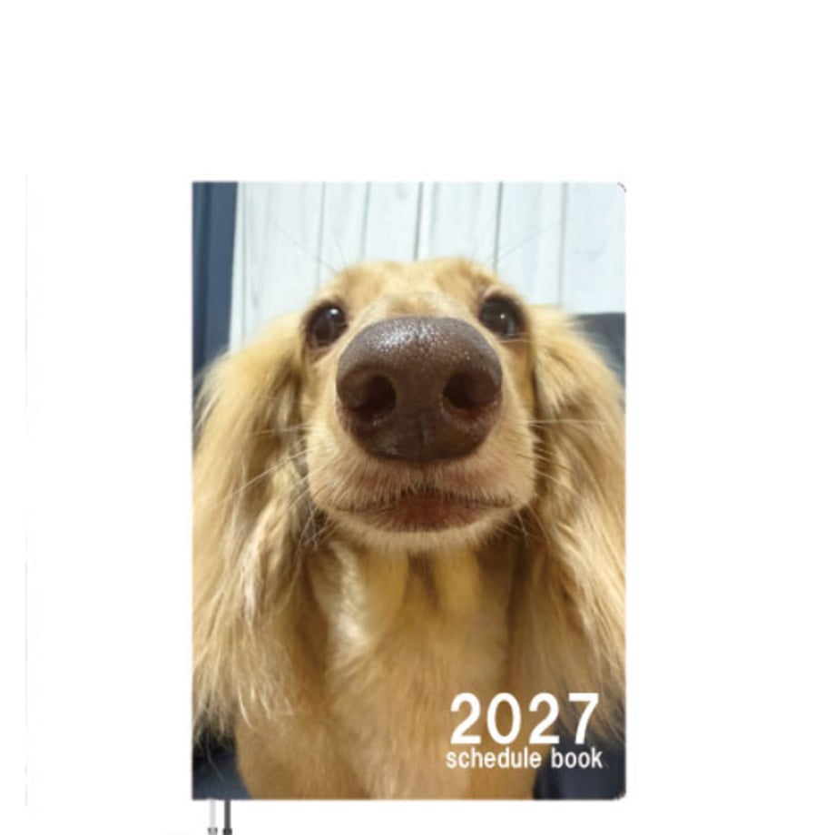 6ac0265783a36dac1ad0d771