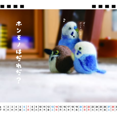 【予約販売】 ポコそら 鳥 インコ 2027年 卓上 カレンダー TA27064