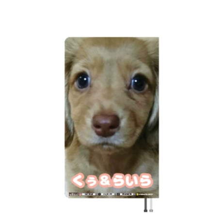 【予約販売】 くぅ＆らいら ミニチュアダックス 犬 2027年 ポケットスケジュール帳 PO27252