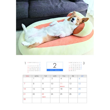【予約販売】 こまち コーギー 犬 2027年 壁掛け カレンダー KK27247