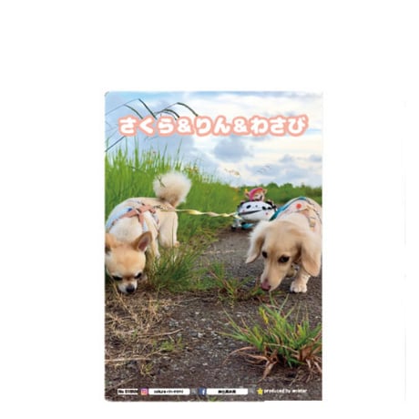 【予約販売】 さくら＆りん＆わさび 犬 A5ノート帳 No16 No016NN