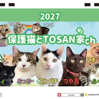 【予約販売】 保護猫とTOSAN家ch 2027年 卓上 カレンダー TC27073