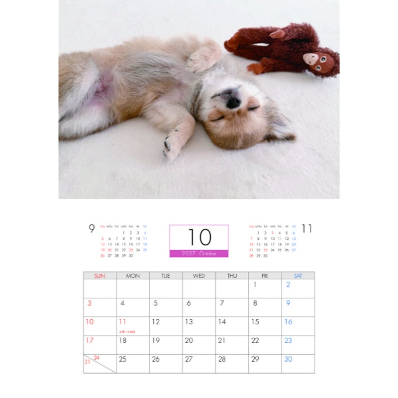 愛犬ちくわ壁掛けカレンダー【オリジナル】 予約販売】 うに&えび&とろ チワワ 犬 2027年 壁掛け カレンダー