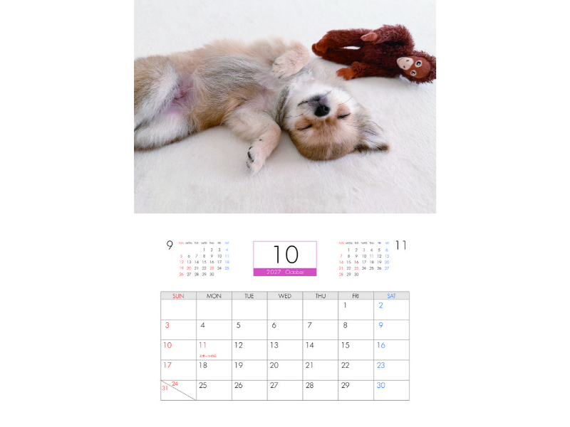 予約販売】 うに&えび&とろ チワワ 犬 2027年 壁掛け カレンダー