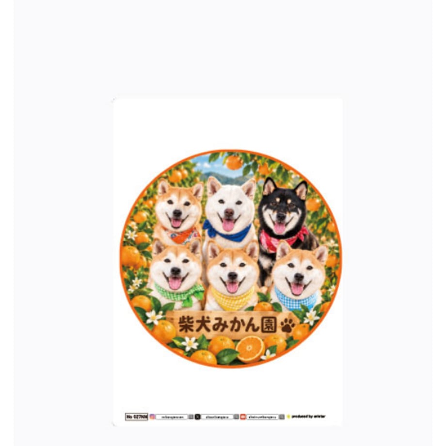6ace60cd8bfdf5bd16575682