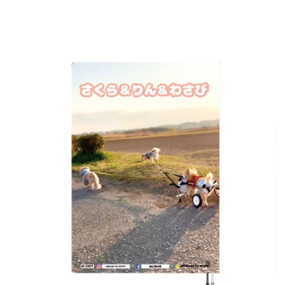 6aaa98ab34e0105f7174d586
