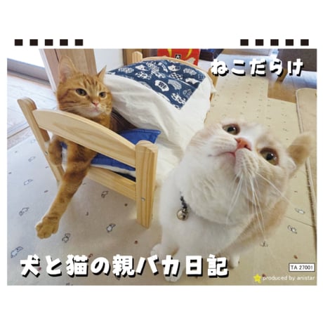 【予約販売】 犬と猫の親バカ日記 まんまる猫 2027年 卓上 カレンダー TA27114