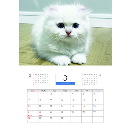 【予約販売】 ぽてこゆこめ。猫 2027年 壁掛け カレンダー KK27284