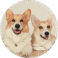 【予約販売】 初めてのコーギー 犬 缶バッジ No10 3個セット