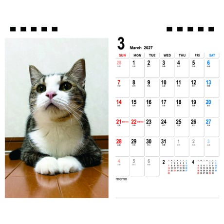 【予約販売】 ひのき猫 2027年 卓上 カレンダー TA27276