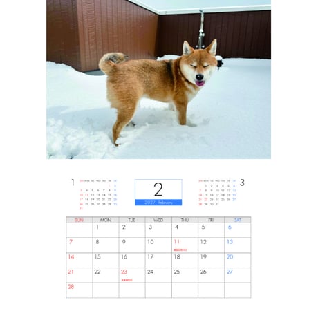 【予約販売】 ラル＆アキ パグ 柴犬 2027年 壁掛け カレンダー KK27149