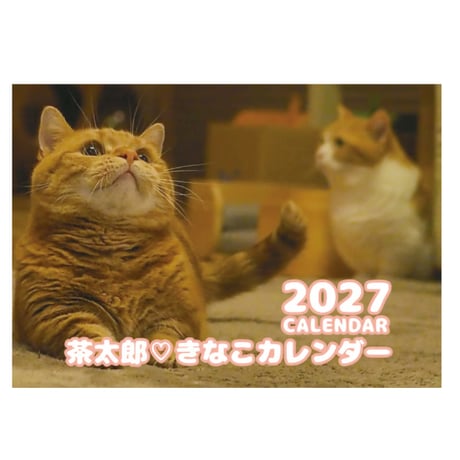 【予約販売】 茶太郎きなこ 猫 2027年 壁掛け カレンダー KK27001