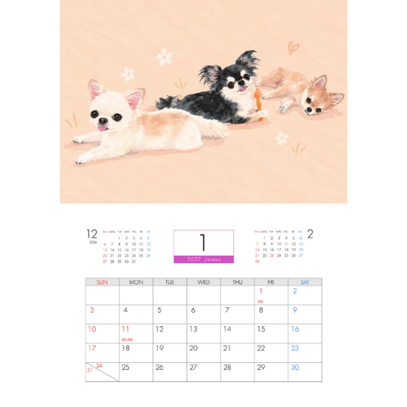予約販売】 うに&えび&とろ チワワ 犬 2027年 壁掛け カレンダー