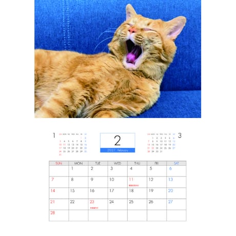 【予約販売】 猫のにゃろめっこ 2027年 壁掛け カレンダー KK27100