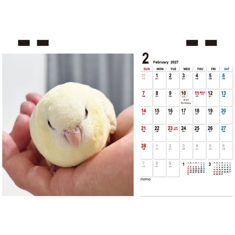【予約販売】 2羽と暮らすあんずちゃんねる インコ 2027年 卓上 カレンダー TC27295