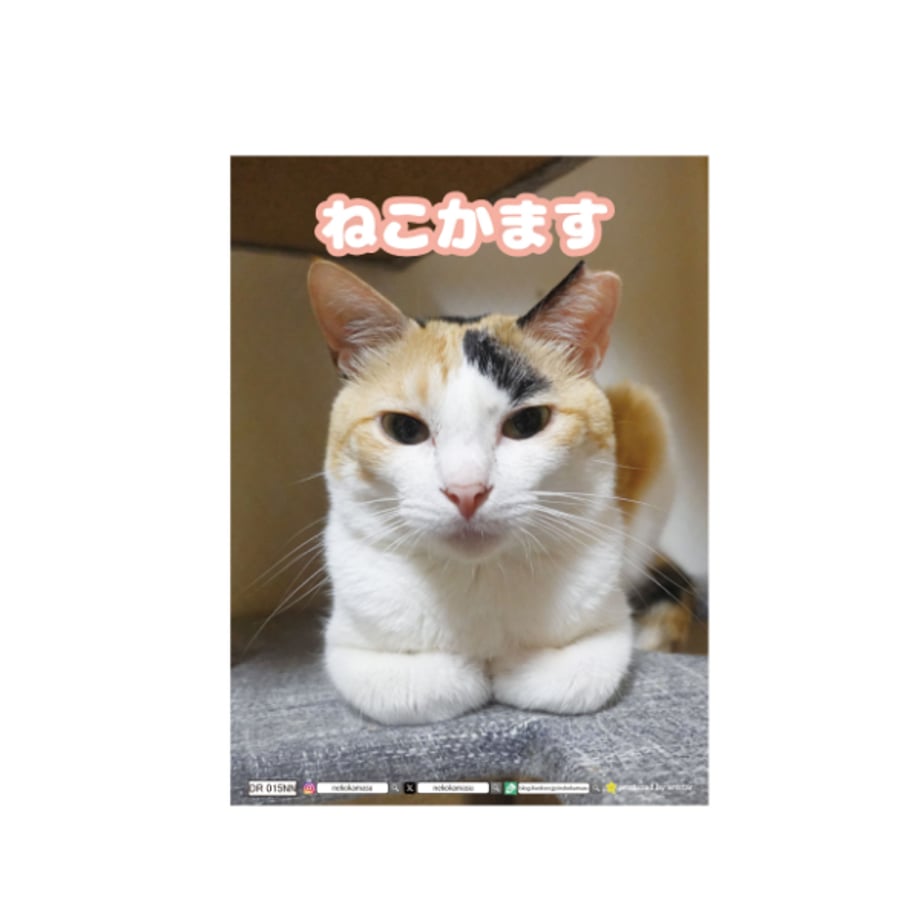 6ab676b0aac70771342925f7