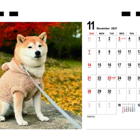 【予約販売】 柴犬 小雨 2027年 卓上 カレンダー TC27015