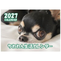 【予約販売】 ちわわん生活 犬 チワワ 2027年 壁掛け カレンダー KK27066