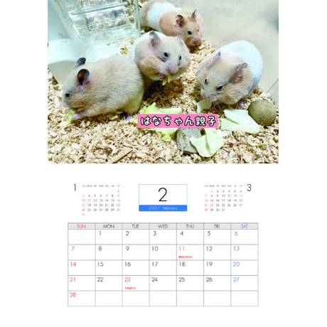 【予約販売】 ハムスターちゃんねる 2027年 壁掛け カレンダー KK27259