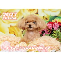 【予約販売】 トイプードル犬のコロン 2027年 壁掛け カレンダー KK27056